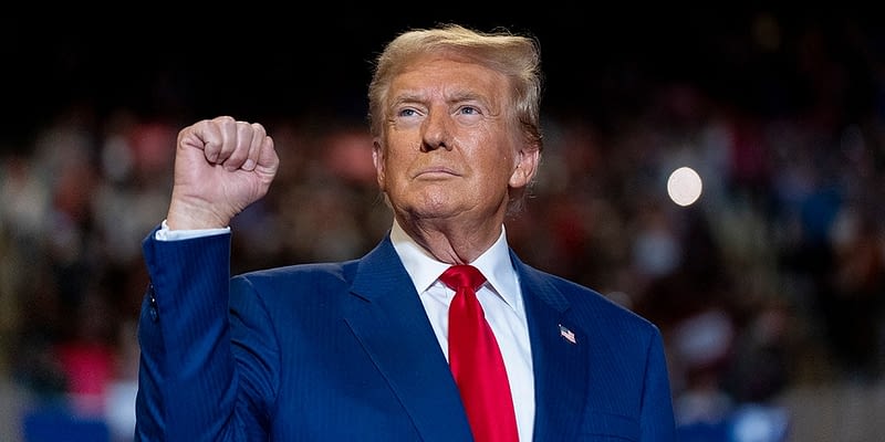 Donald Trump electrifies crowd at UFC 309; gets a hero's welcome weeks after historic rally in New York