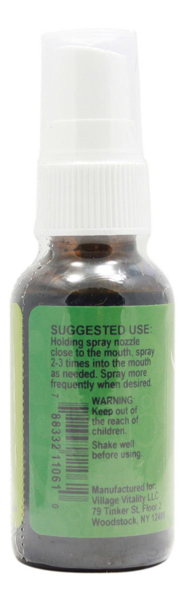 Peppermint Breath Spray with Chlorophyll - 1 oz Liquid - Info