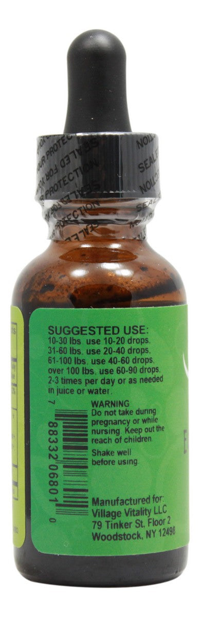 Kid's Echinacea Plus Alcohol Free - 1 oz Liquid - Info