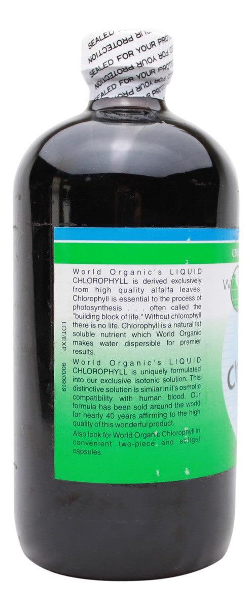 Liquid Chlorophyll - 16 oz - Info