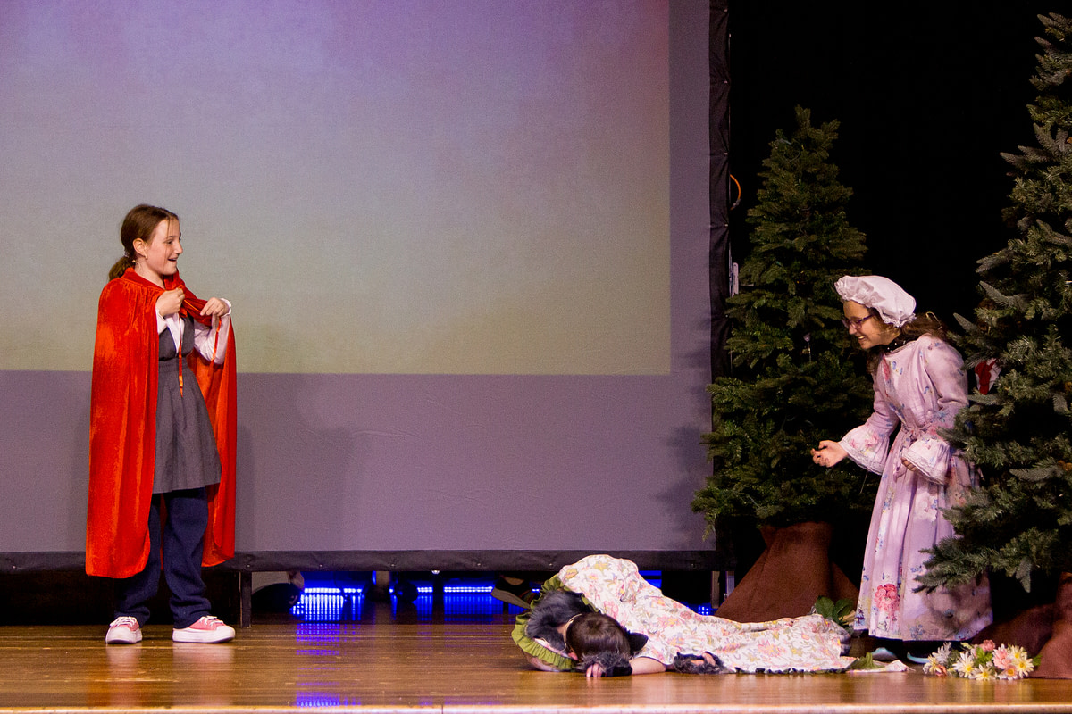 intothewoods-35 intothewoods-35