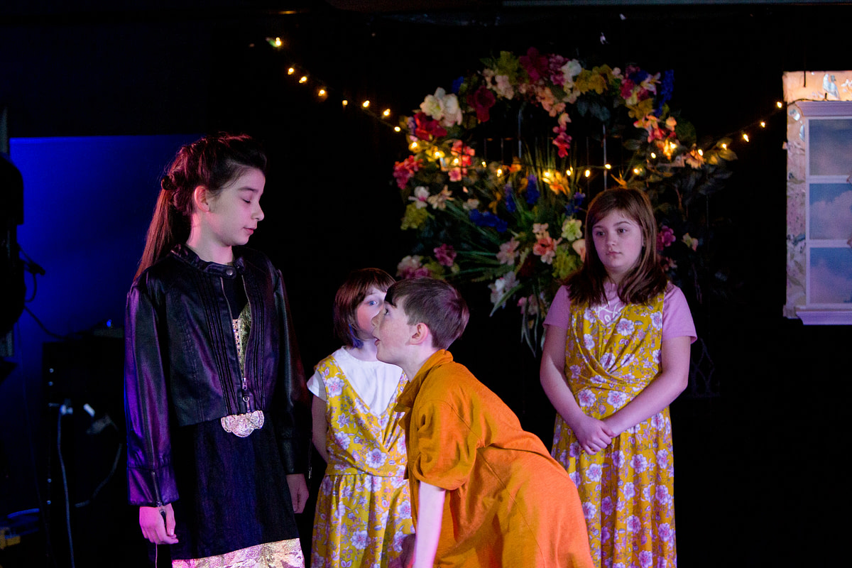 lionking-11 lionking-11