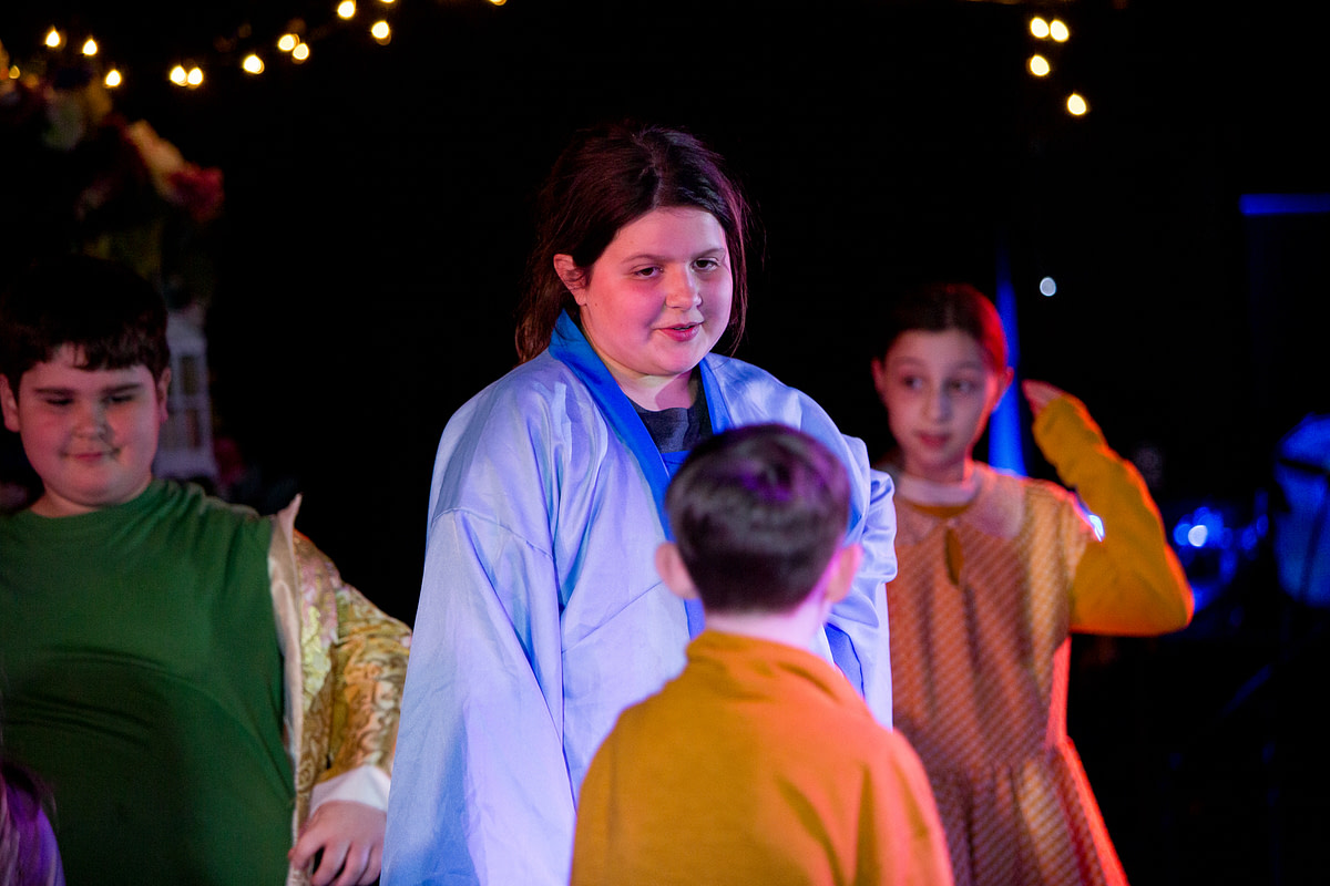 lionking-12 lionking-12