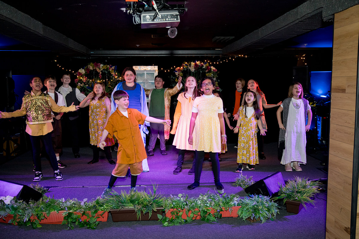 lionking-24 lionking-24