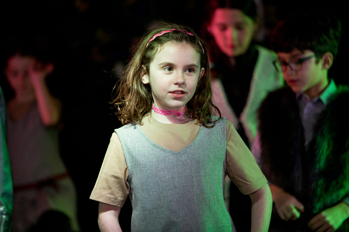 lionking-25 lionking-25