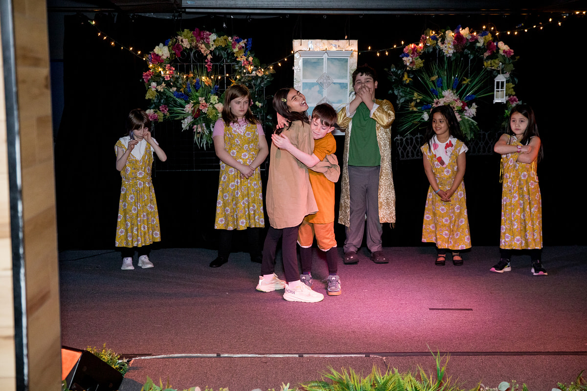 lionking-33 lionking-33