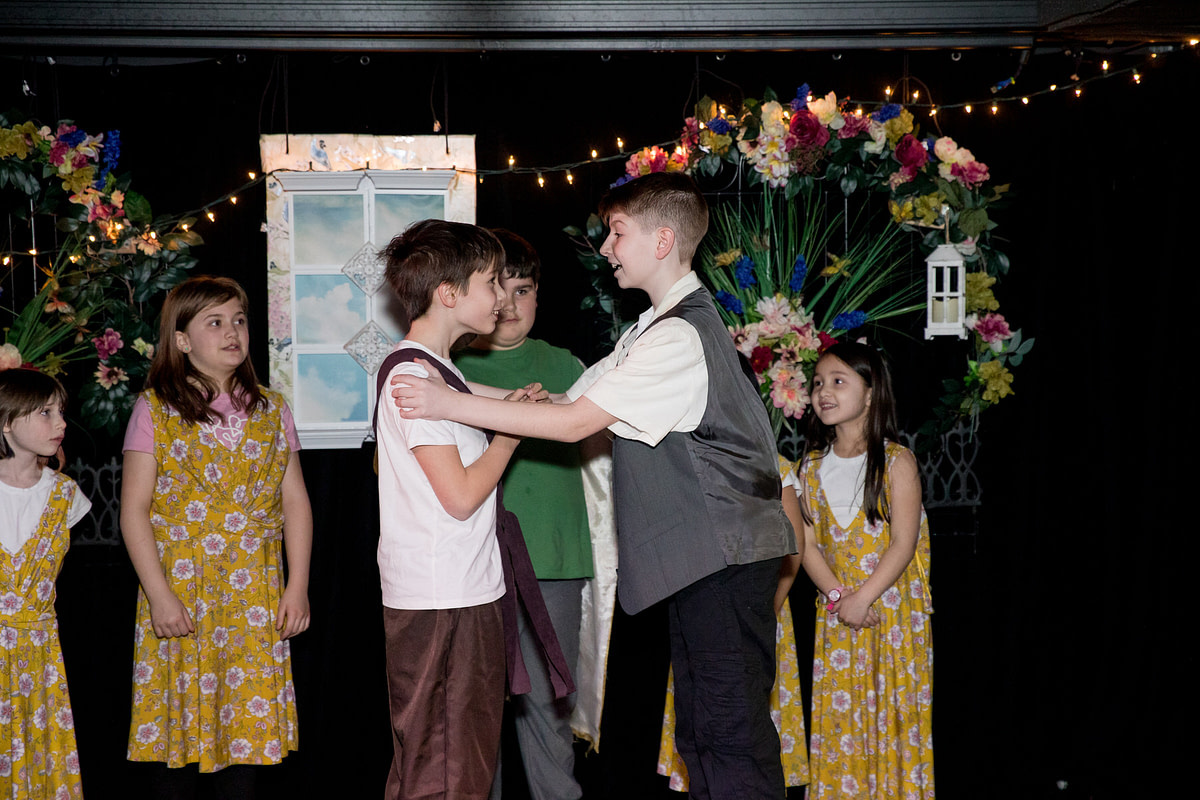 lionking-37 lionking-37