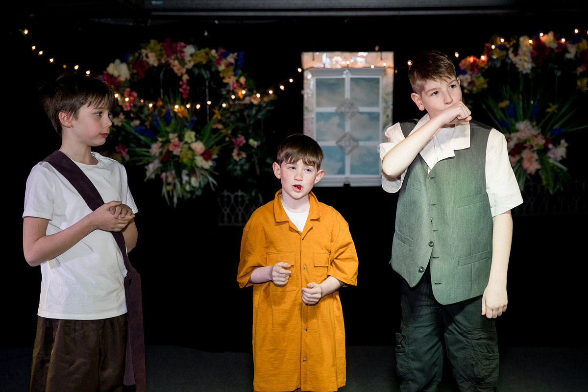 lionking-43 lionking-43