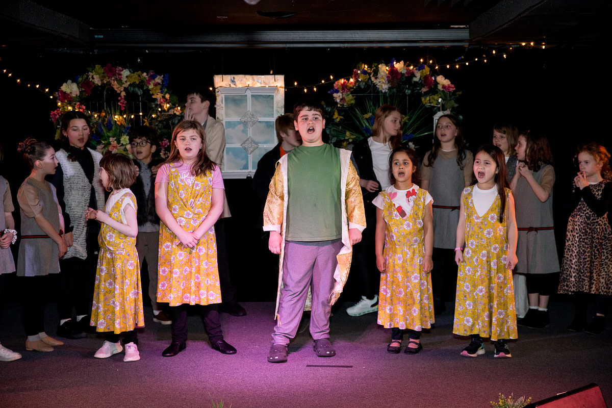 lionking-5 lionking-5