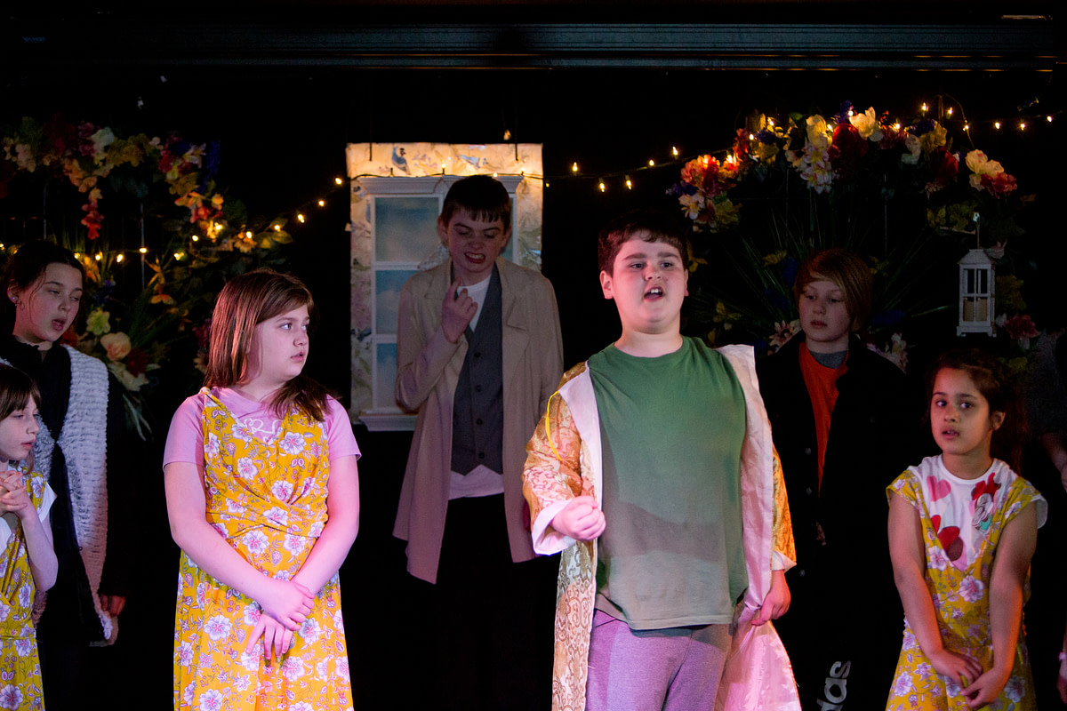 lionking-6 lionking-6