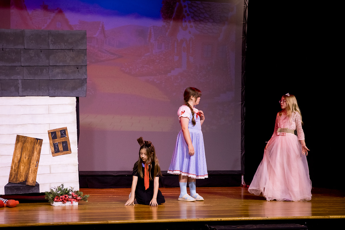 wizardofozderry-50 wizardofozderry-50