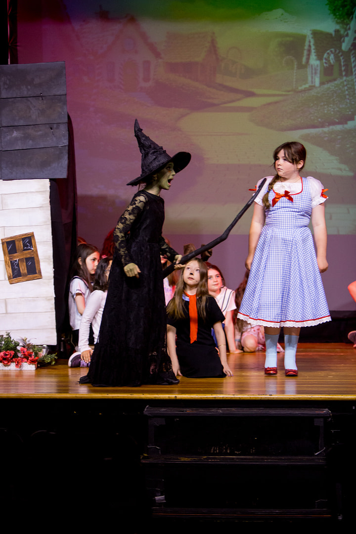 wizardofozderry-49 wizardofozderry-49