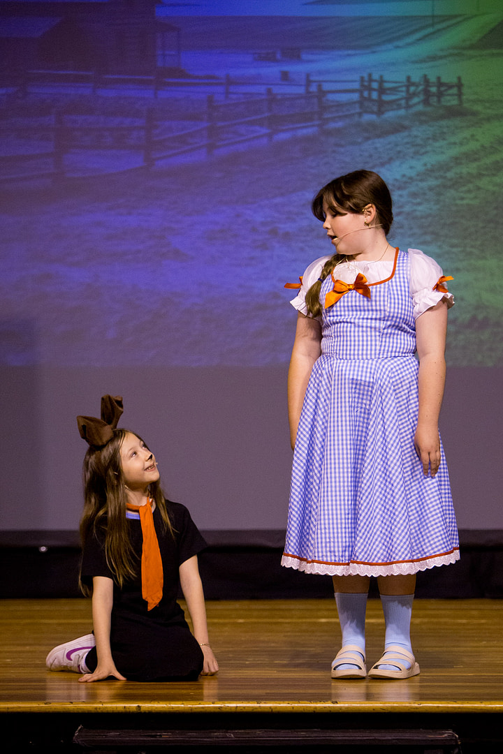 wizardofozderry-7 wizardofozderry-7