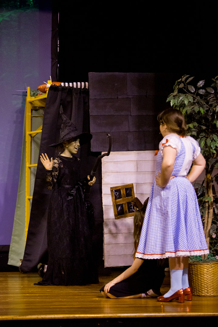 wizardofozderry-95 wizardofozderry-95