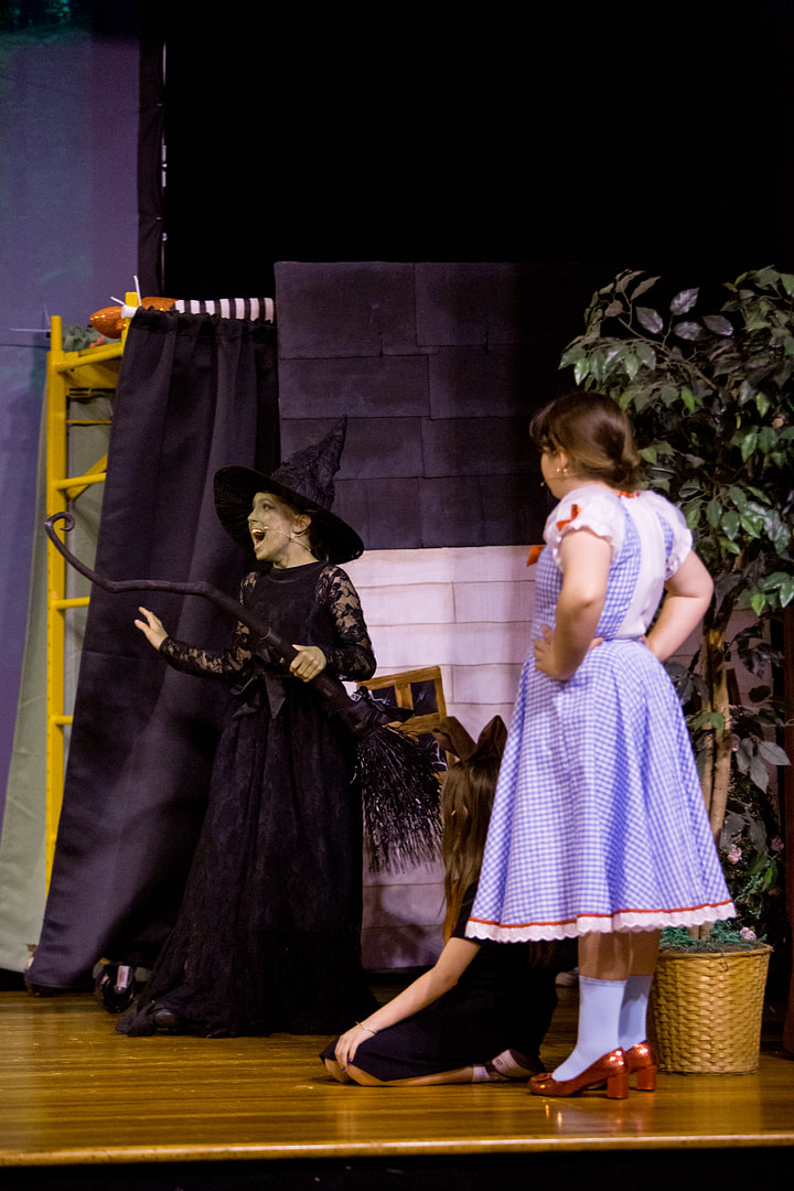 wizardofozderry-97 wizardofozderry-97