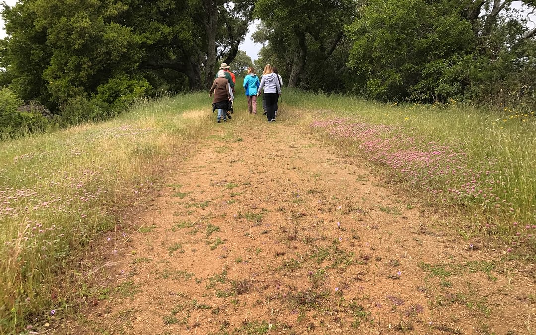 Why Are Relationship Problems So Tough?