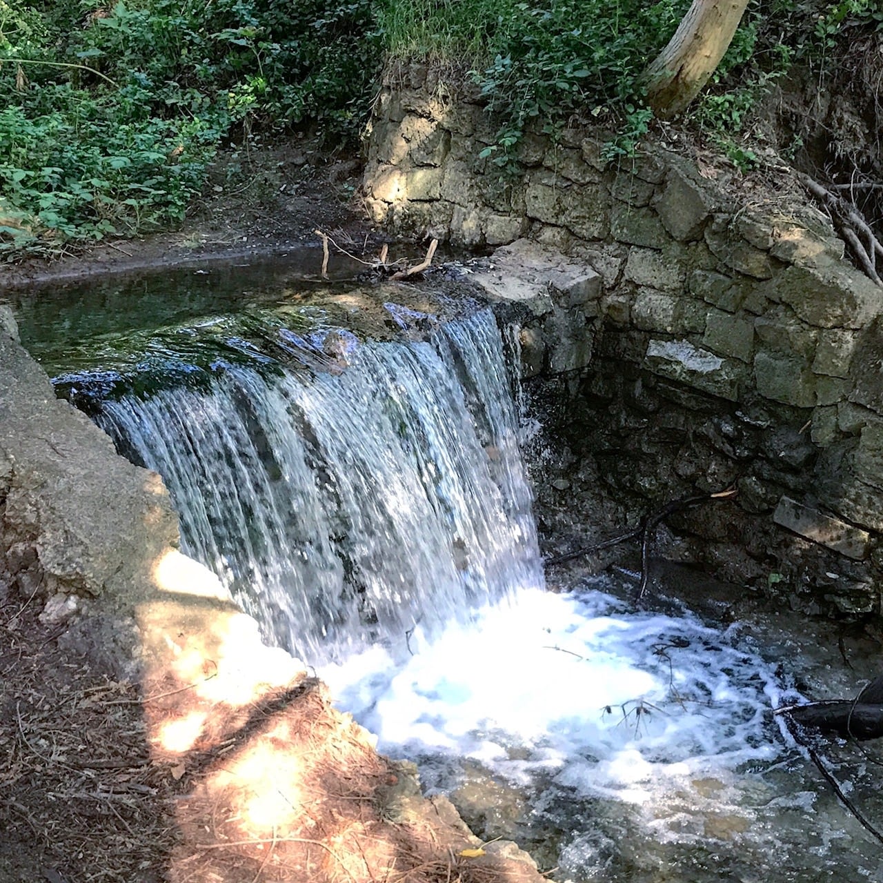 The website of David D. Burns, MD | 057: Interpersonal Model (Part 4 ...