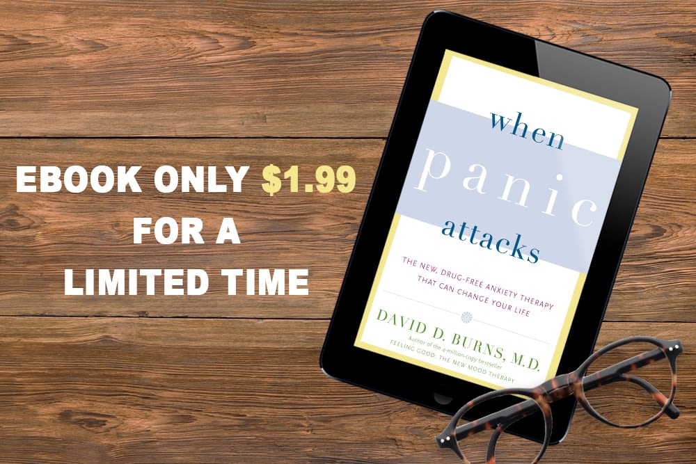 when panic attacks ebook promo2 (002)