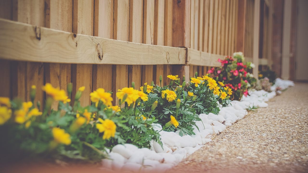 Creative landscaping ideas. 
