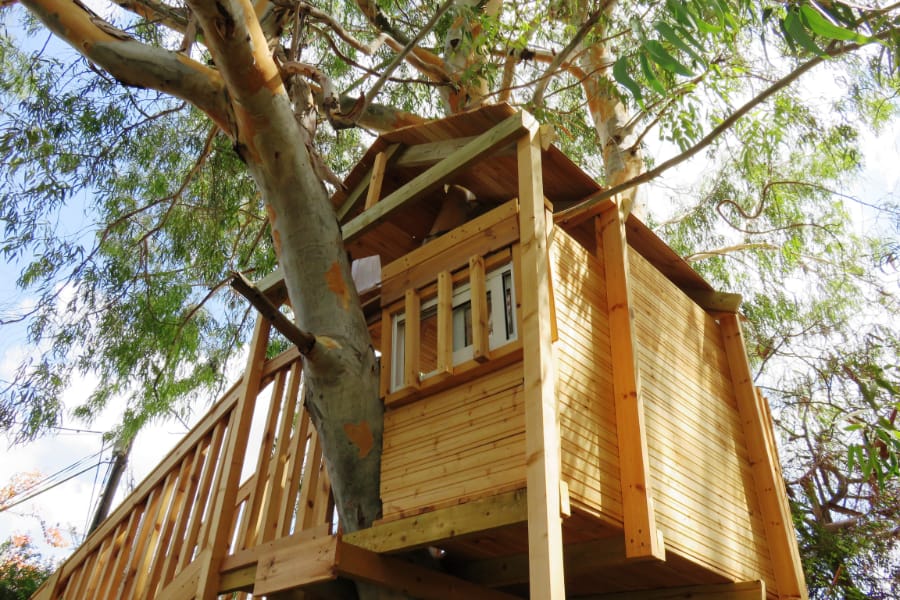 A treehouse makes a backyard kid-friendly.