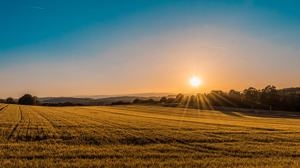 a large vacant lot in a field with the sun setting