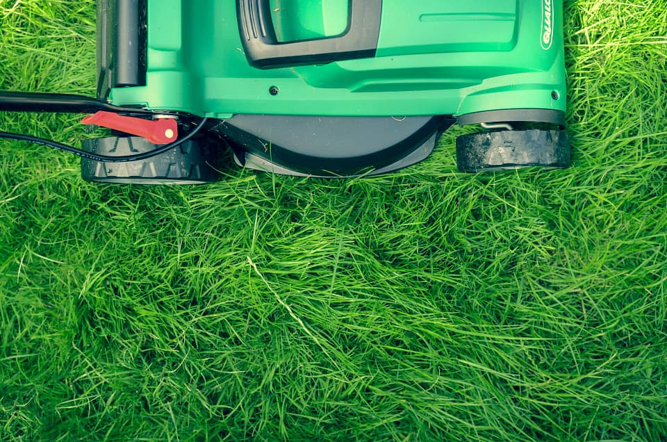 Lawn Care Tips to Enhance Value for Homeowners.