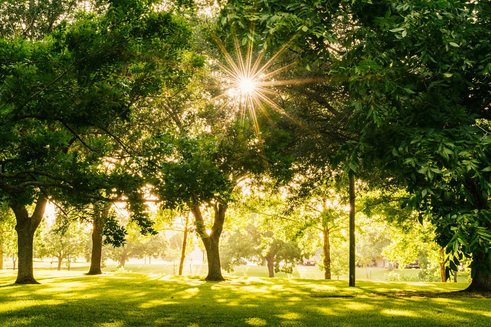 Philadelphia's Push for Equitable Park Access