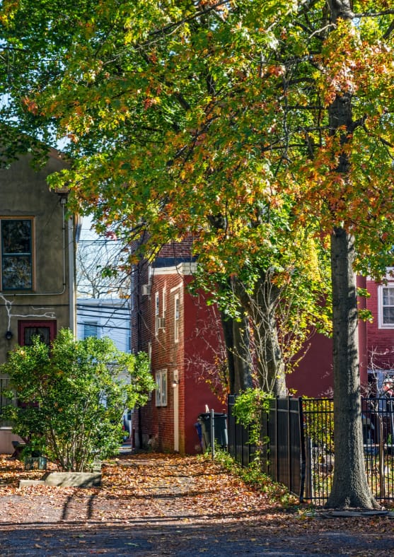 Brotherly Love Real Estate