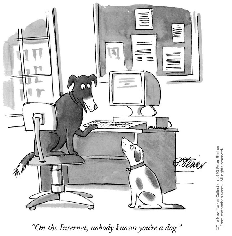 The New Yorker cartoon that shows a dog sitting in front of a computer saying to another dog, "On the Internet, nobody knows you're a dog."