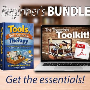 Beginner's Bundle - Ebook AND Toolkit