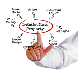 What Is Intellectual Property
