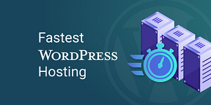 2023's Top 6 Quickest WordPress Hosting Services - Credit: CyberNews