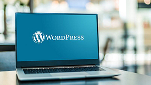 2023's Top WordPress Plugins: Effortlessly Enhance Your Site's Functionality - Credit: Expert Reviews