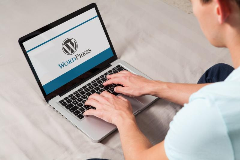 Projected Strong Growth of the WordPress Site Management Software Market - Credit: -significant-growth-during-2020-2026 OpenPR