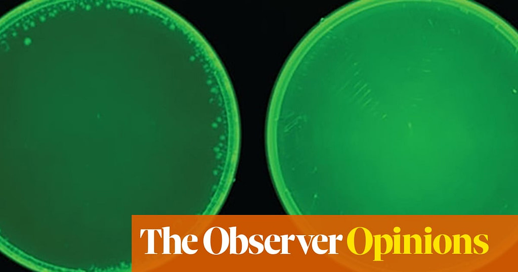 "Surprising Results: AI is Highly Skilled at Designing Nerve Agents" - Credit: The Guardian