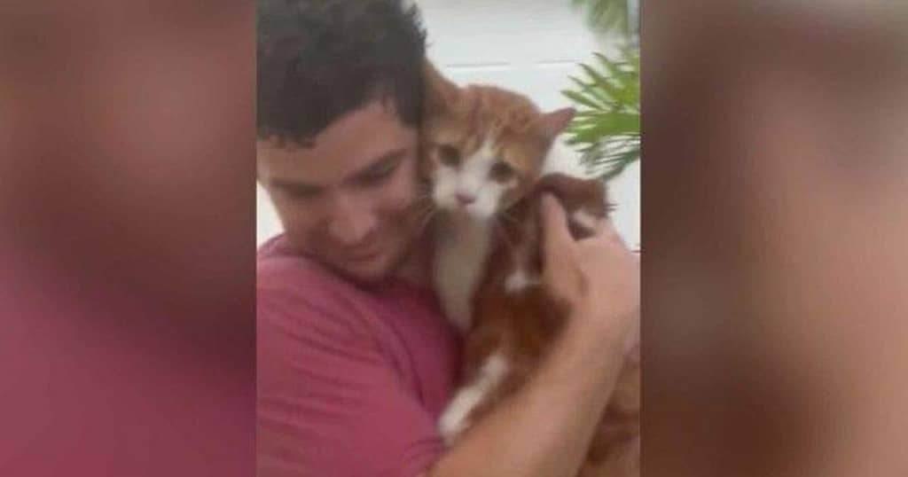 Man in Florida rescues cat from flood during Hurricane Ian