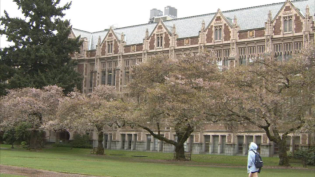 UW holds panel on using AI technology responsibly to enhance student learning - Credit: KIRO 7