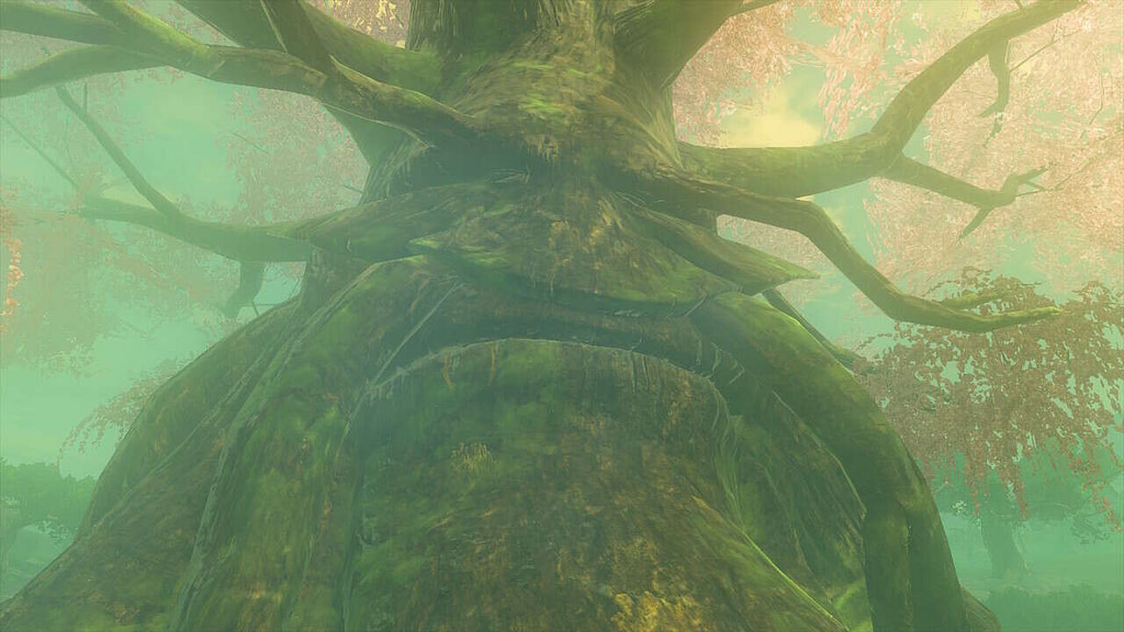 Zelda: Tears of the Kingdom – Deku Tree And Hyrule Forest Guide