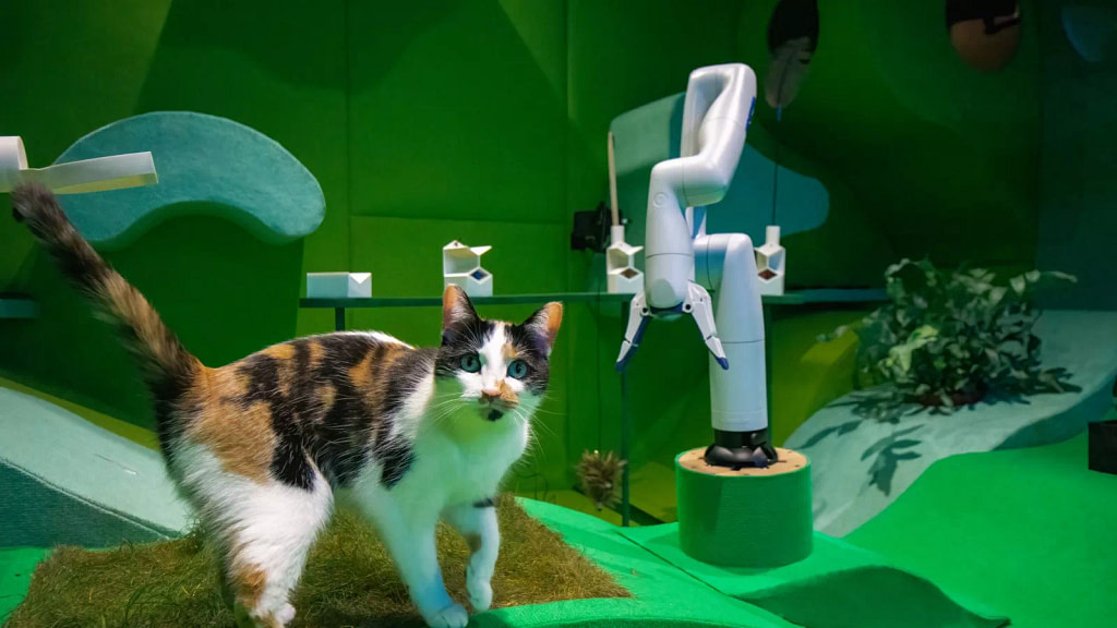 Watch: AI robot tries to make cats happy in unique feline "utopia" trial - Credit: Newsweek