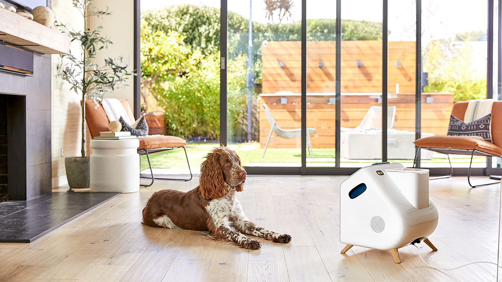 An AI Babysitter For Your Dog - Credit: Axios