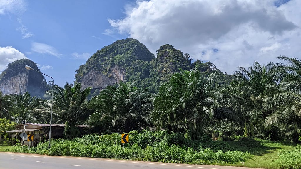 mountains along the roadside in krabi