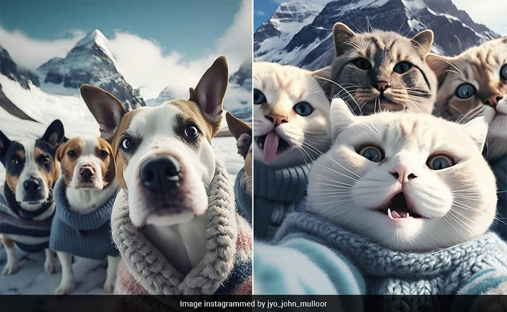 Artist Uses AI To Generate Pics Of Animals Taking Selfies, Results Leave Internet Stunned - Credit: NDTV