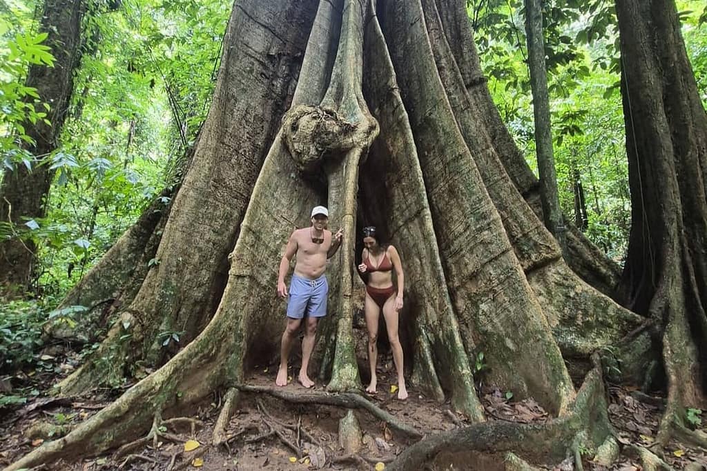 couple in front of thailand yao noi big tree