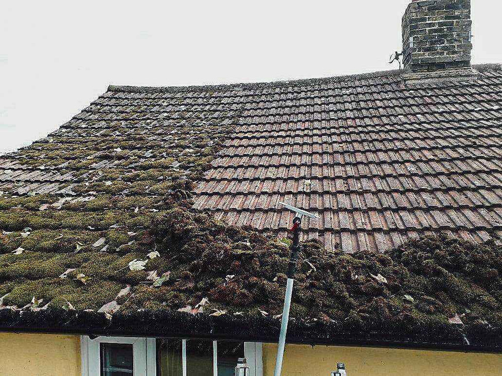 Roof Cleaning Debris and Mold