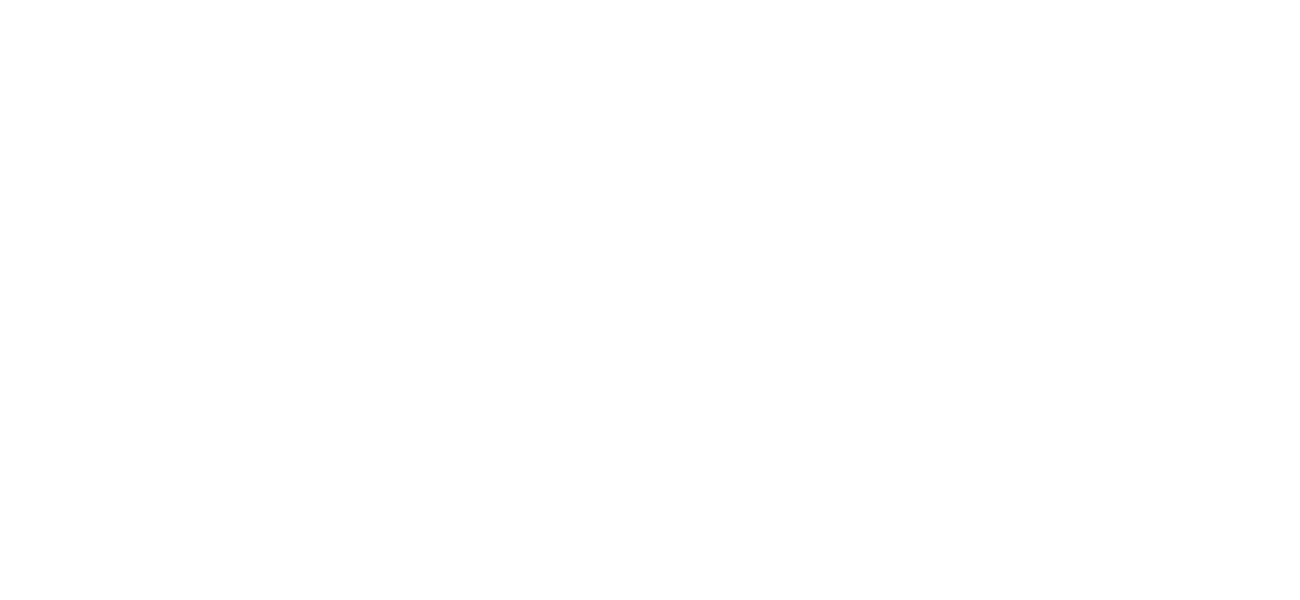 Huston_advisors Copy