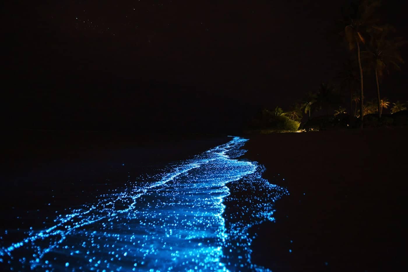Plancton bioluminiscente que brilla con un color azul en el mar por la noche en Krabi