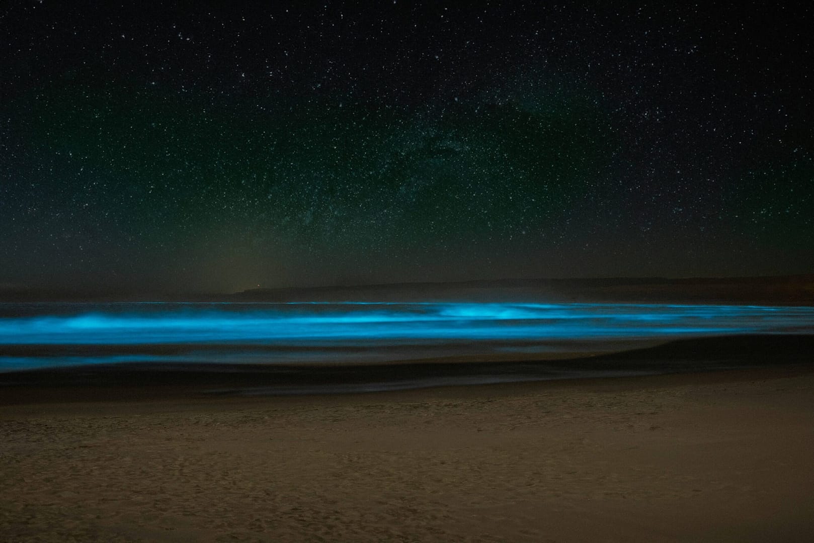 bioluminescent plankton on the beach