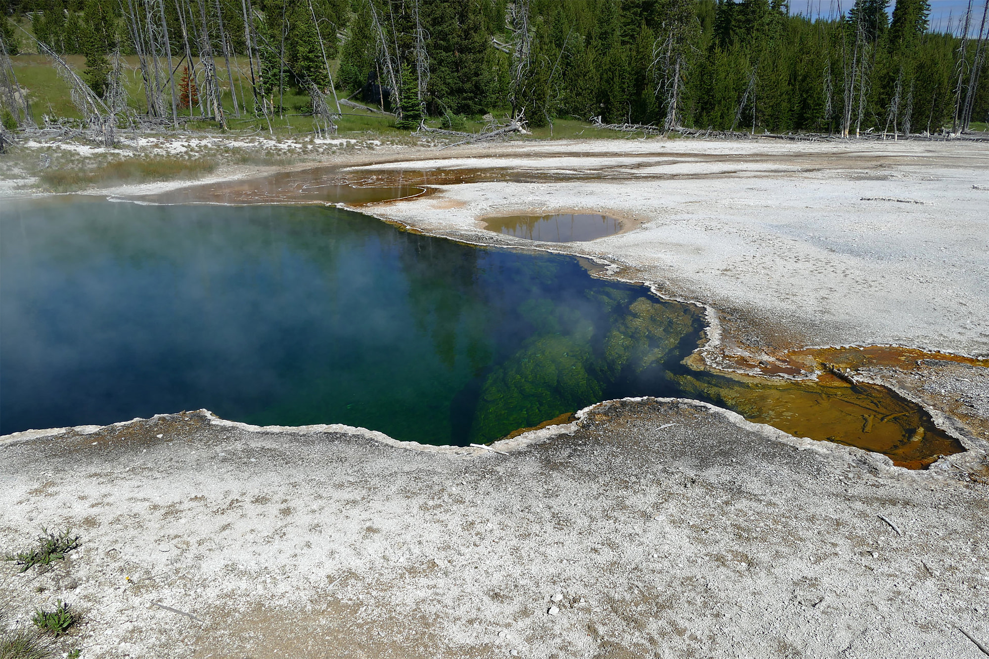 Dead man whose foot was found in Yellowstone hot spring is identified