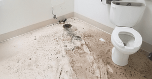 Your Guide for Removing and Disposing of a Toilet 1 Your Guide for Removing and Disposing of a Toilet