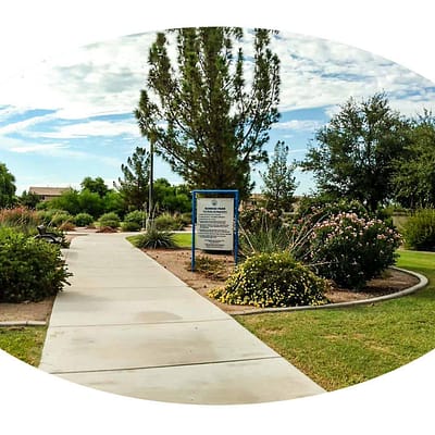 2019 Winner: Peoria Irrigation System
